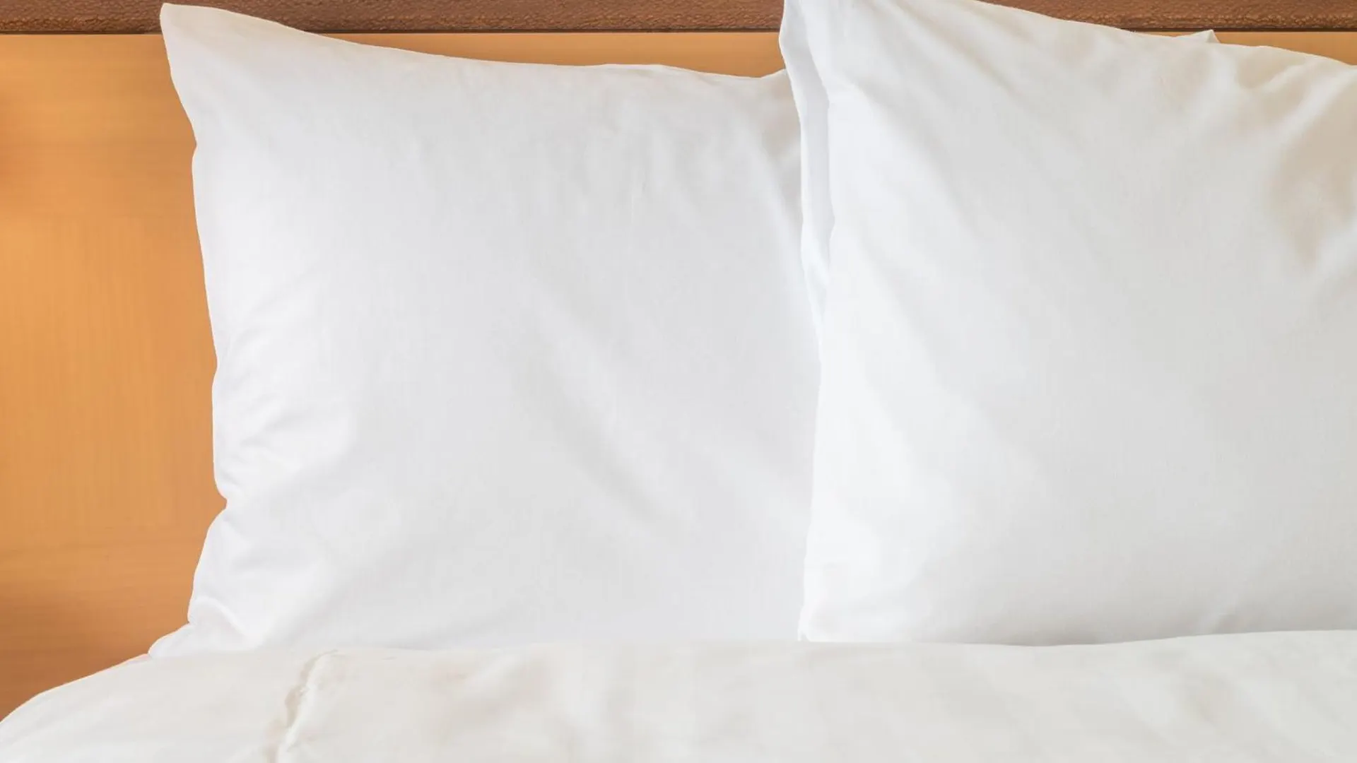 Holiday Inn & Suites Ottawa Kanata By Ihg Canada