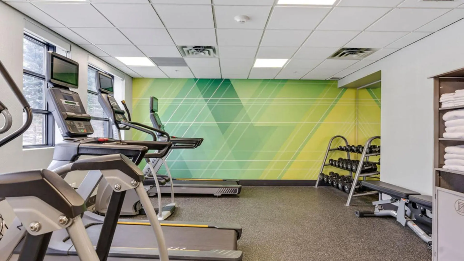 Hotel Holiday Inn & Suites Ottawa Kanata By Ihg